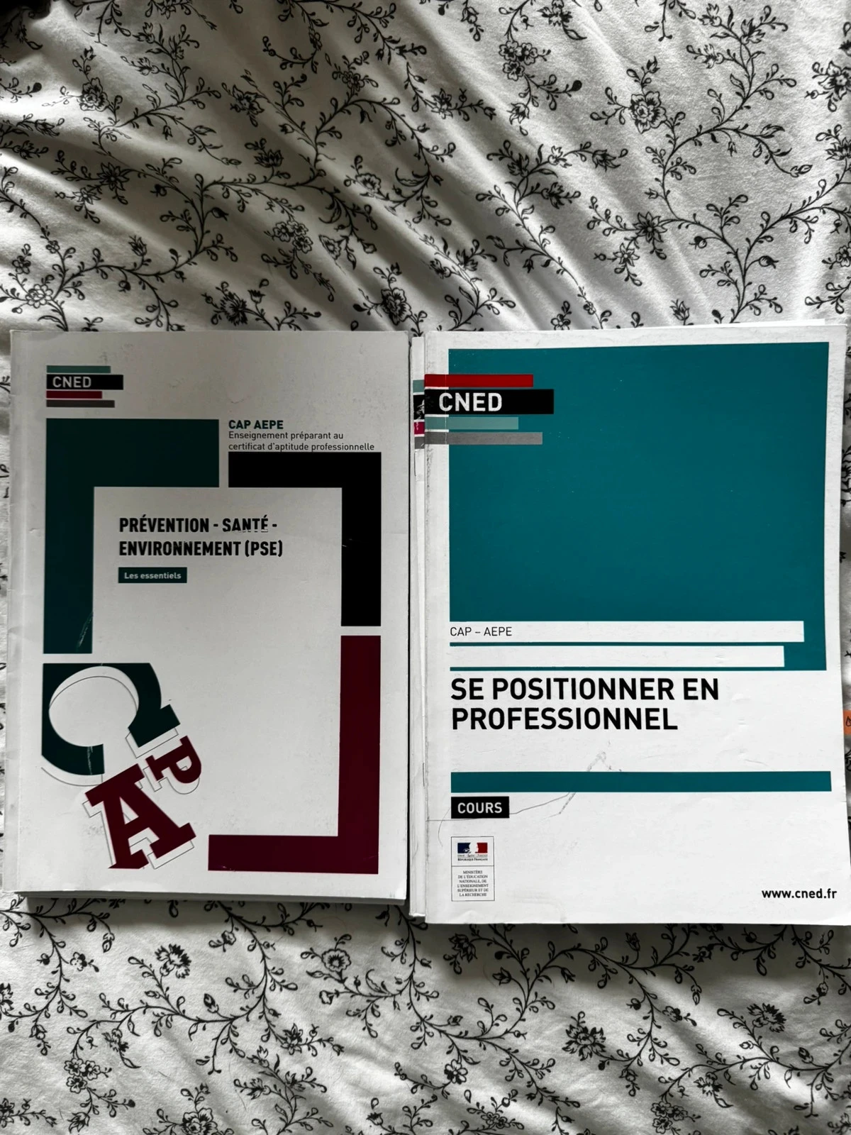 Lot complet de cours CNED – Cap aepe + Préparation Concours Atsem 📚 – photo 5